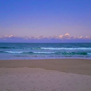 Meet your Posher, Ava